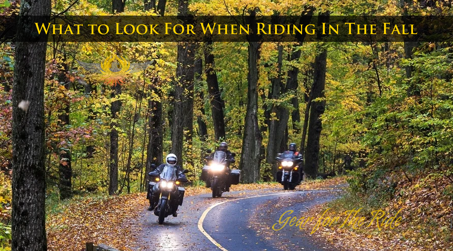 How To Ride Safely In The Fall