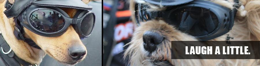 Two adorable small dogs wearing dog goggles and riding gear, reflecting Eagle Leather’s playful brand spirit. The overlaid text ‘LAUGH A LITTLE’ captures our commitment to fun and lighthearted experiences.