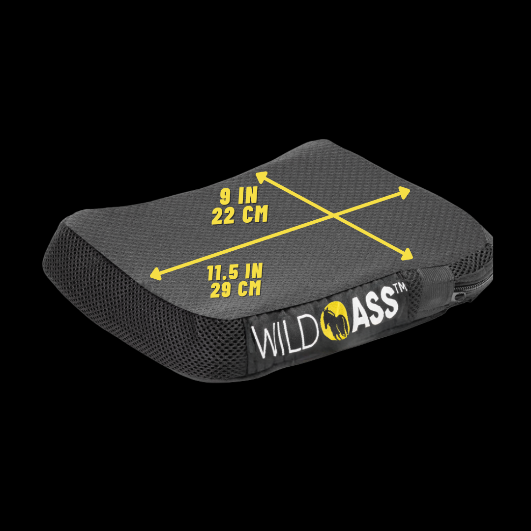 Wild Ass Pillion Lite cushion dimension graphic, 9 by 11.5 inches