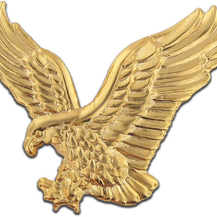 Eagle Flag Pin