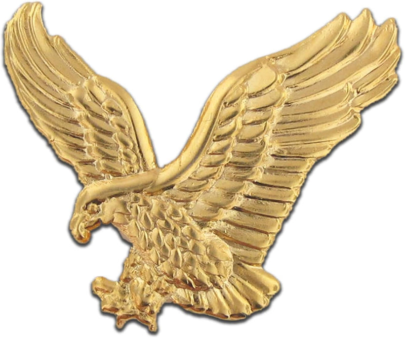 Eagle Flag Pin