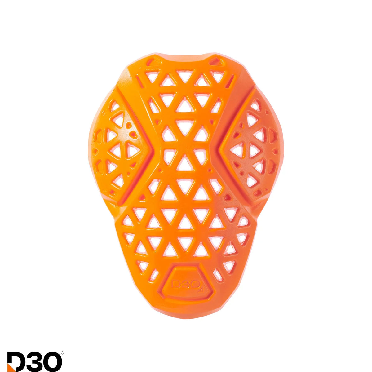 D30 Level 2 Upper Body Set