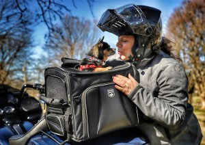 NR-240 Rover Pet Carrier: ROUTE 1 ROVER PET CARRIER
NR-240


LIFETIME WARRANTY (Through Nelson Rigg)


Spacious main compartm