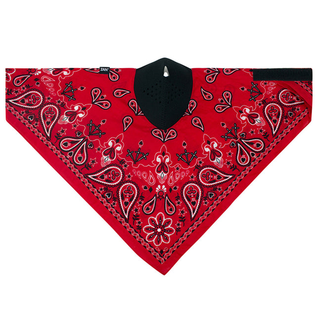 Neodanna Red Paisley