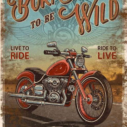 Tin - Born To Be Wild