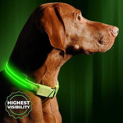 Illuminated Dog Collar