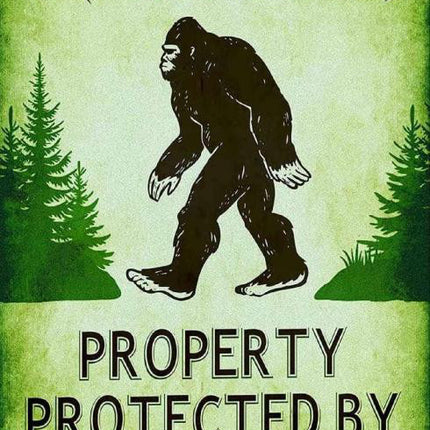 Tin - Protected by BigFoot