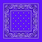 Purple Paisley Bandana: Purple Paisley Bandana