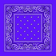 Purple Paisley Bandana: Purple Paisley Bandana