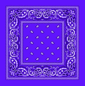 Purple Paisley Bandana: Purple Paisley Bandana
