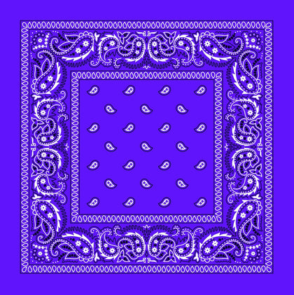 Purple Paisley Bandana: Purple Paisley Bandana