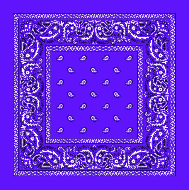 Purple Paisley Bandana