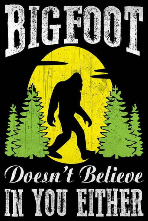 Tin - Bigfoot Doesn't belive in You