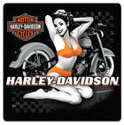 H-D Flash Back Babe Sign: Measures approximately 14