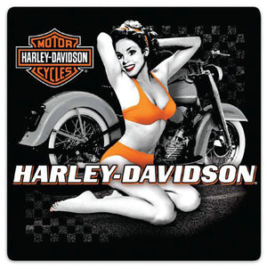H-D Flash Back Babe Sign: Measures approximately 14