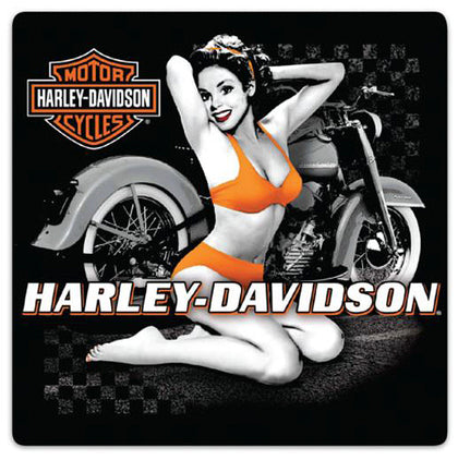 H-D Flash Back Babe Sign: Measures approximately 14