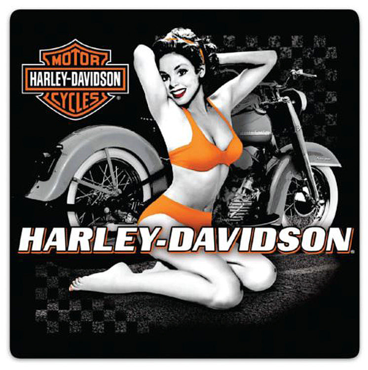 H-D Flash Back Babe Sign: Measures approximately 14
