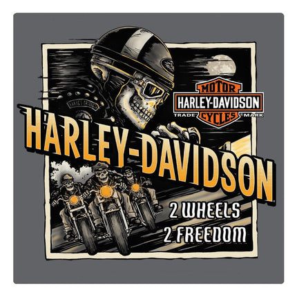 H-D Road Rage Sign: Harley-Davidson Road Rage Embossed Tin Sign
Features a custom, high-quality die-cut and embossed edgy gra