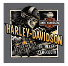 H-D Road Rage Sign: Harley-Davidson Road Rage Embossed Tin Sign
Features a custom, high-quality die-cut and embossed edgy gra