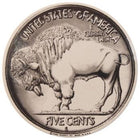 Buffalo Nickel Sign