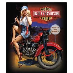 H-D Fixer Up Babe Sign: H-D Fixer Up Babe Sign